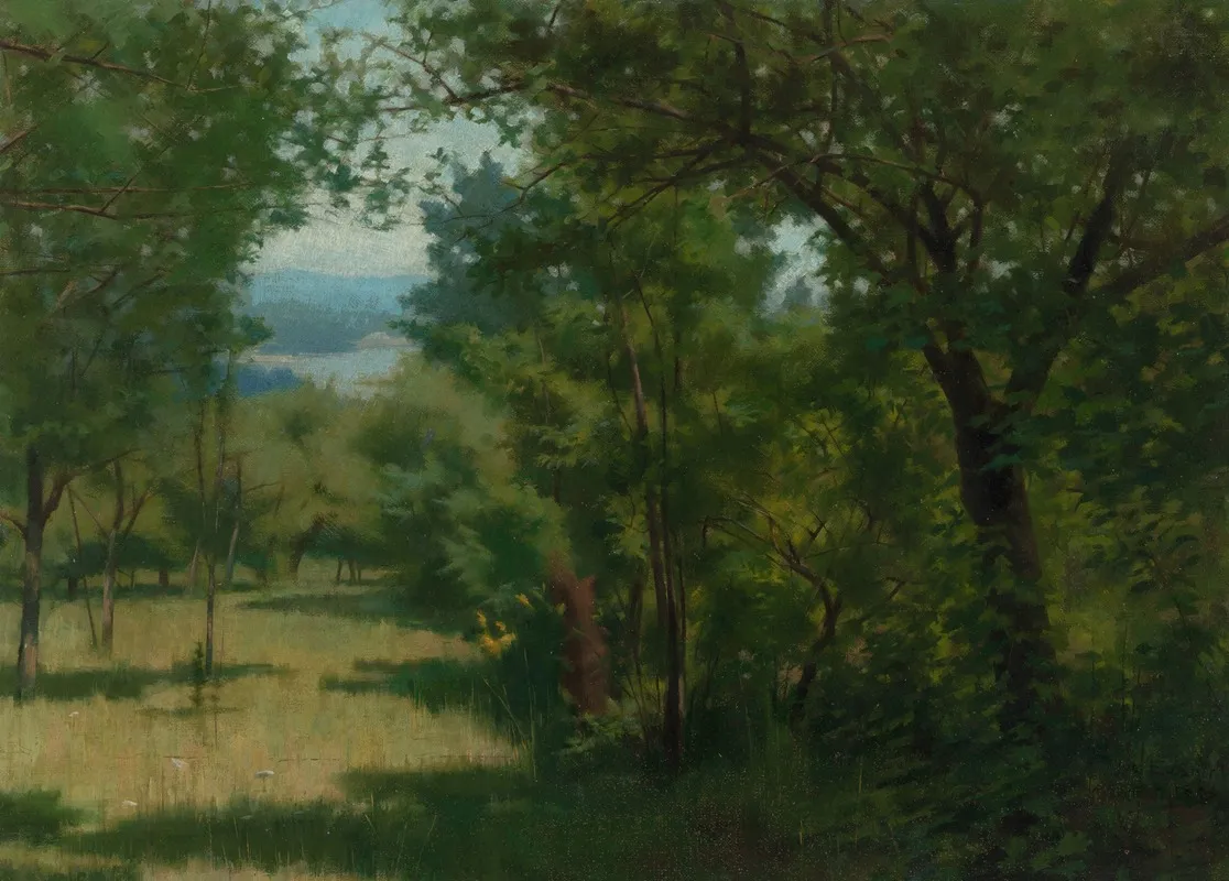 Forest Opening With Lake In The Distance