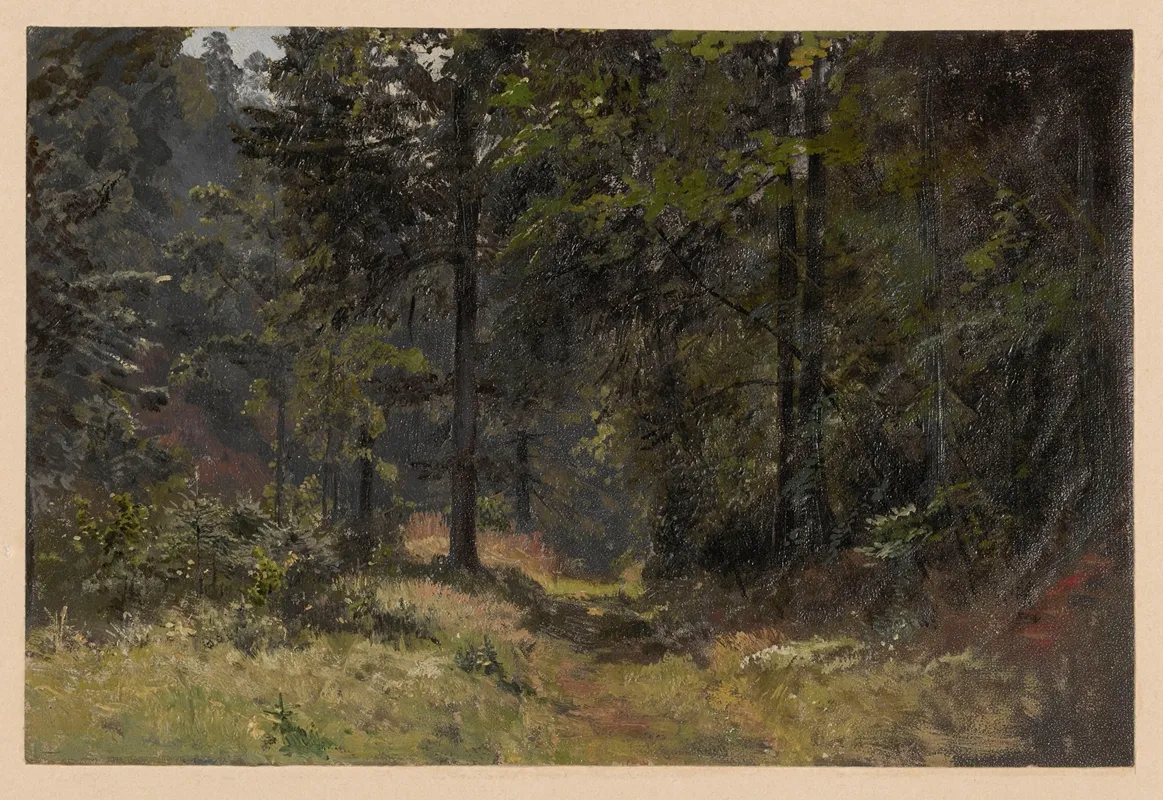 Forest Road In The Szczawnik Valley