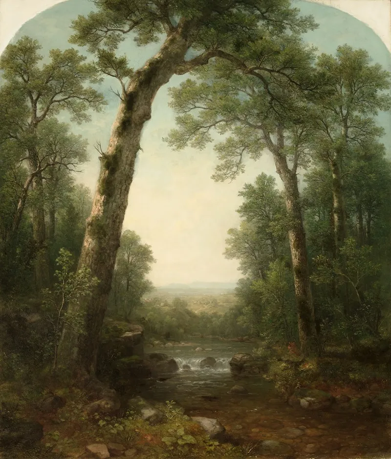 Forest Stream With Vista