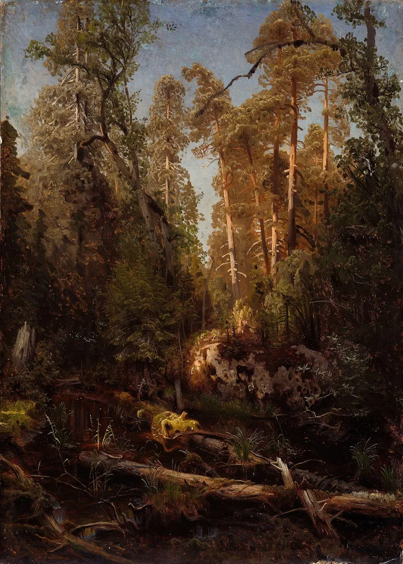 Forest Study 2
