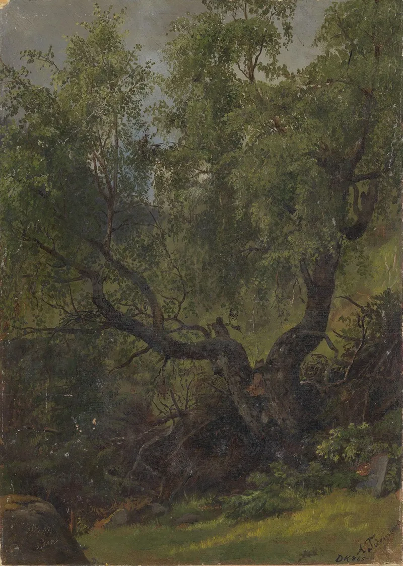 Forest Study From Numedal Wall Art by Adolph Tidemand - High-Resolution Digital Print