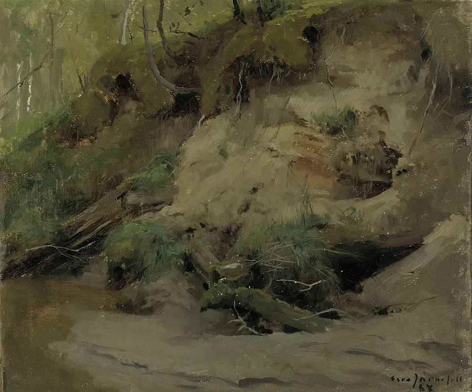 Forest With A Sandy Slope