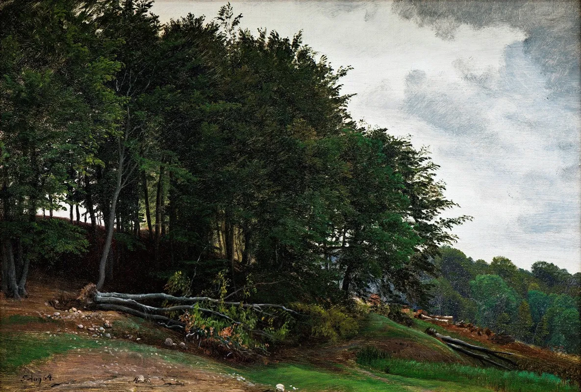 Forested Hills 2