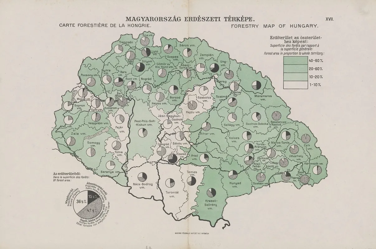 Forestry Map Of Hungary Wall Art by Hungarian Geographical Institute - High-Resolution Digital Print