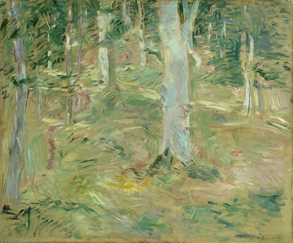Foret De Compiegne