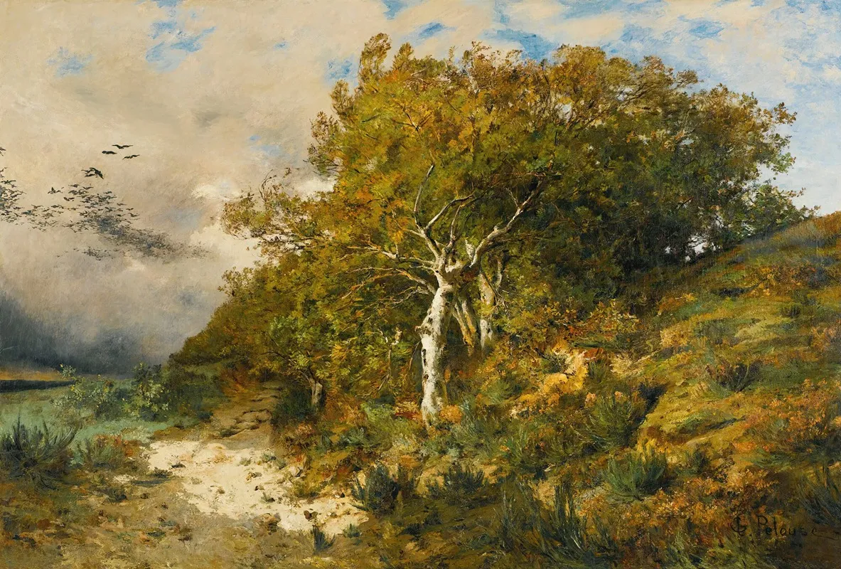 Foret De Fontainebleau