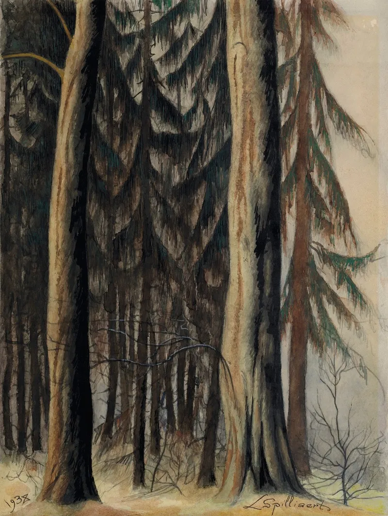Foret De Sapins