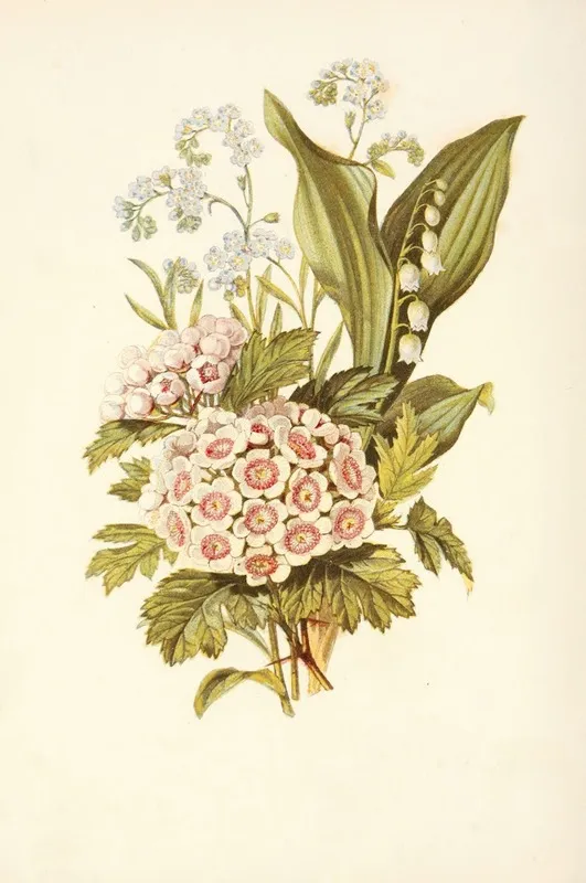 Forget Me Not Hawthorn Lily Of The Valley Wall Art by Robert Tyas - High-Resolution Digital Print
