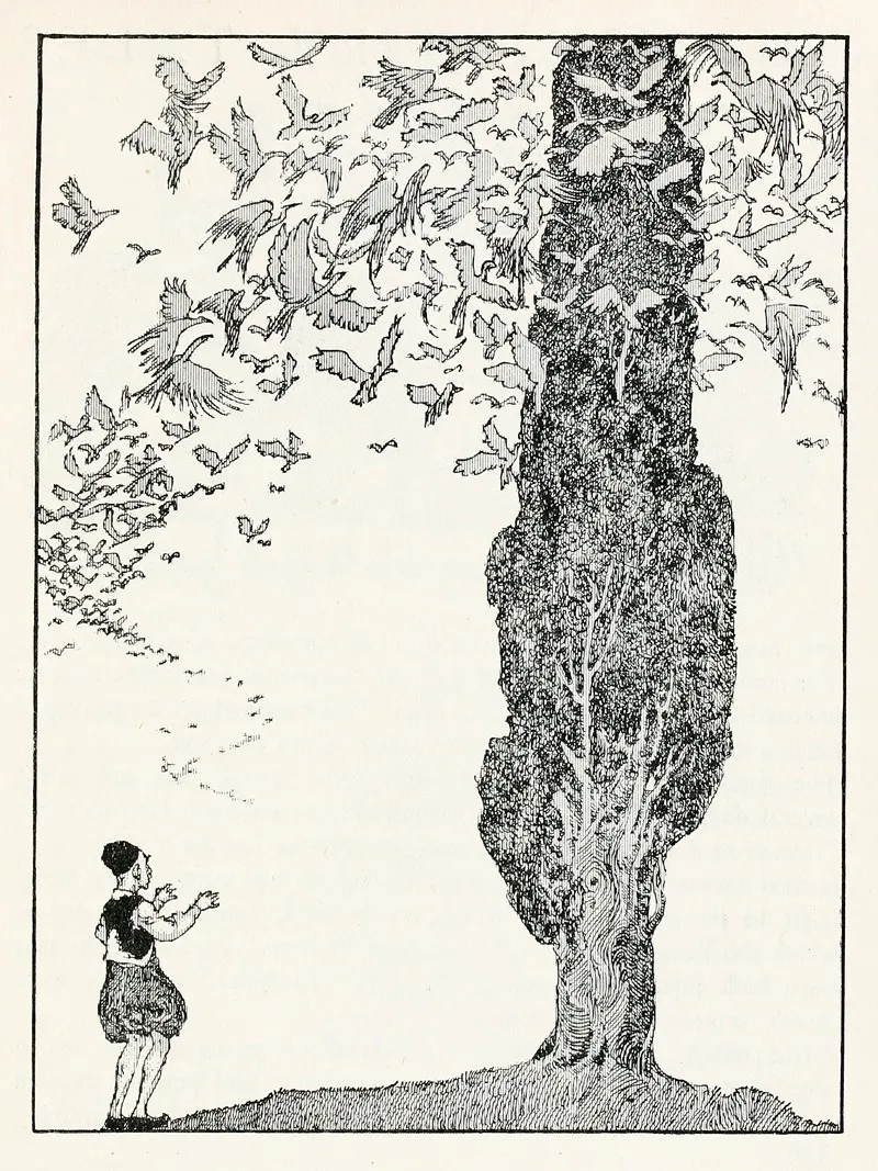 Forty Four Turkish Fairy Tales Pl 44