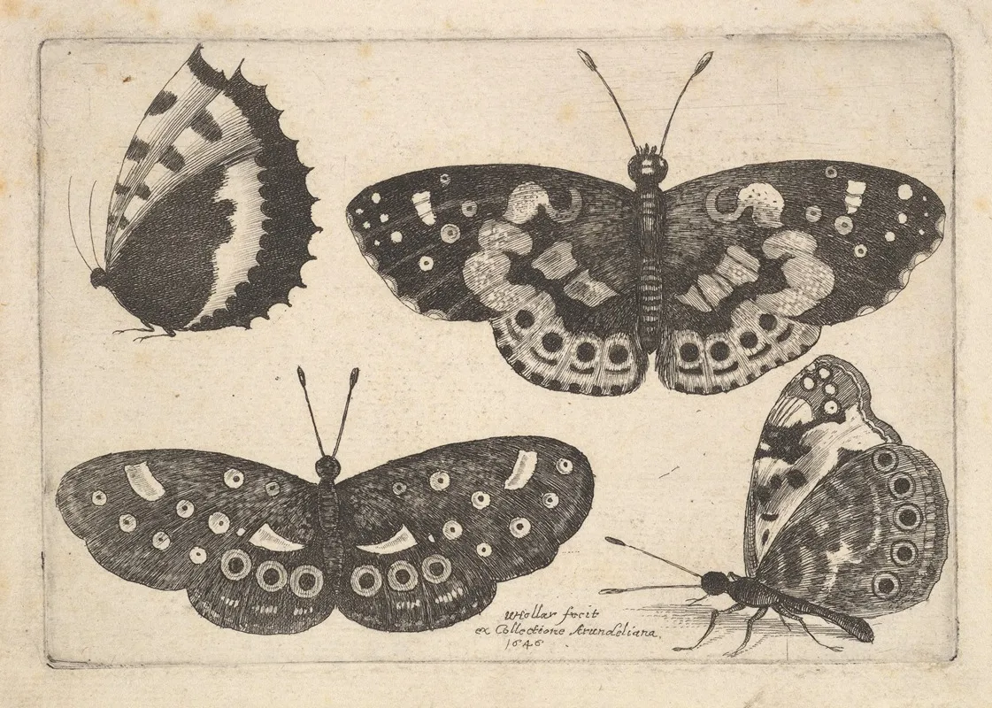 Four Butterflies 2