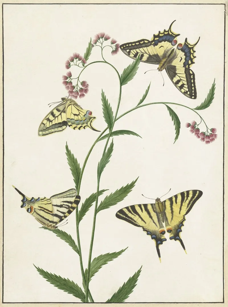 Four Butterflies On Flowers Wall Art by Paulus Knogh - High-Resolution Digital Print