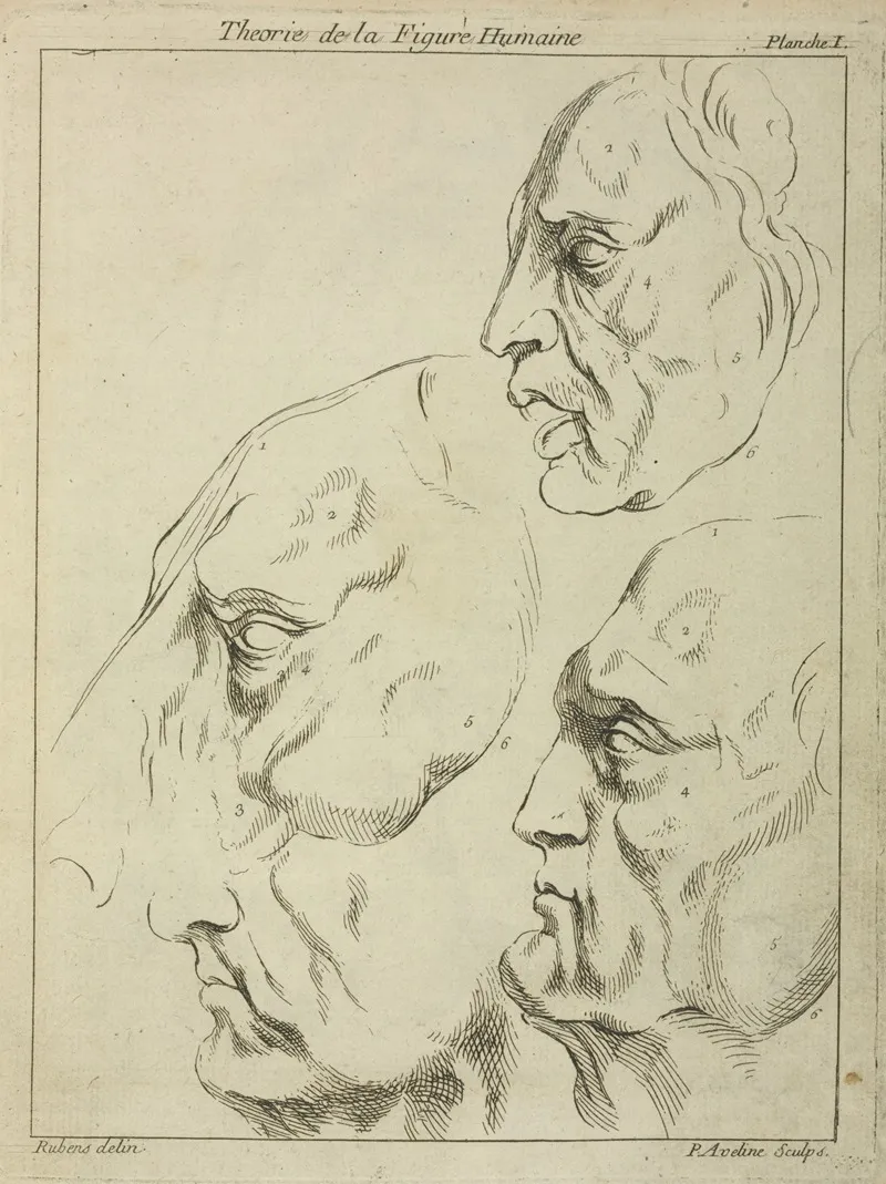 Four Faces Three Human One Horse In Profile Wall Art by Peter Paul Rubens - High-Resolution Digital Print