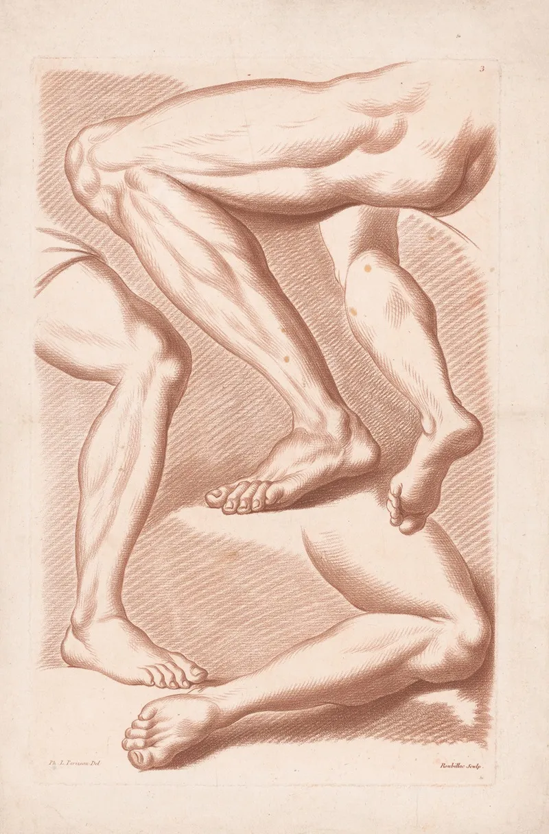 Four Legs In Various Poses Wall Art by Louis-François Roubiliac - High-Resolution Digital Print