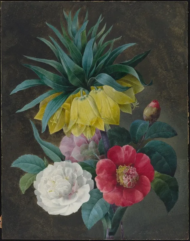 Four Peonies And A Crown Imperial Wall Art by Pierre Joseph Redouté - High-Resolution Digital Print