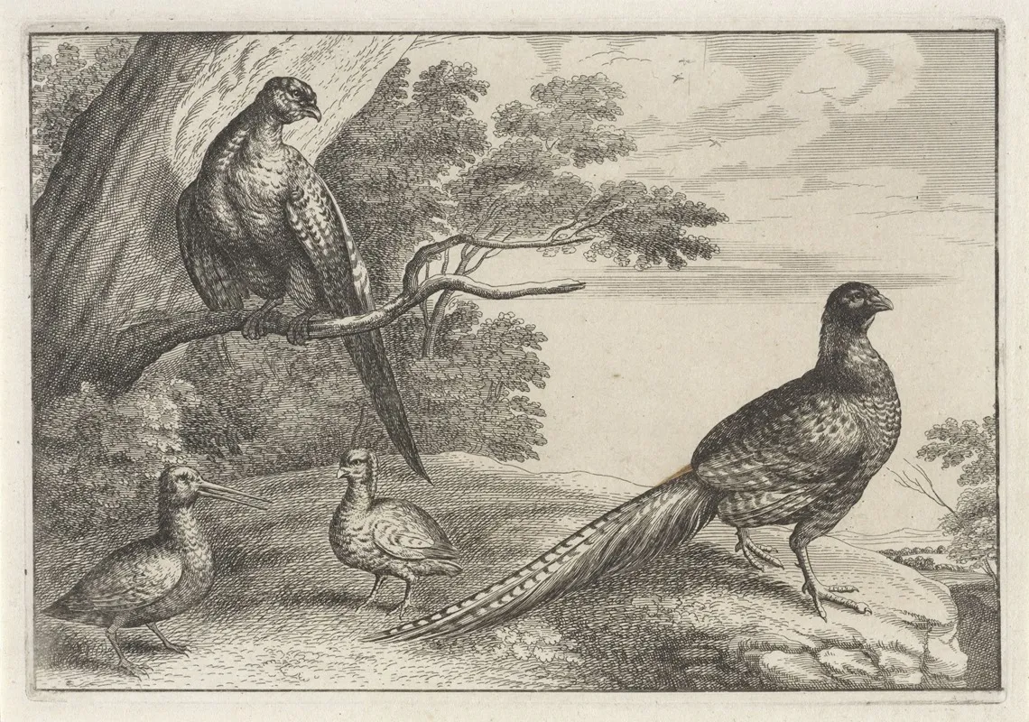 Four Pheasants In A Wooded Landscape One Of Them Standing On A Tree Branch At Left