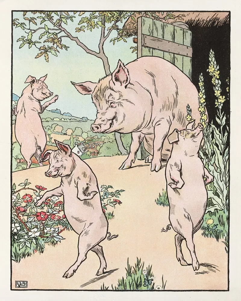 Four Pigs