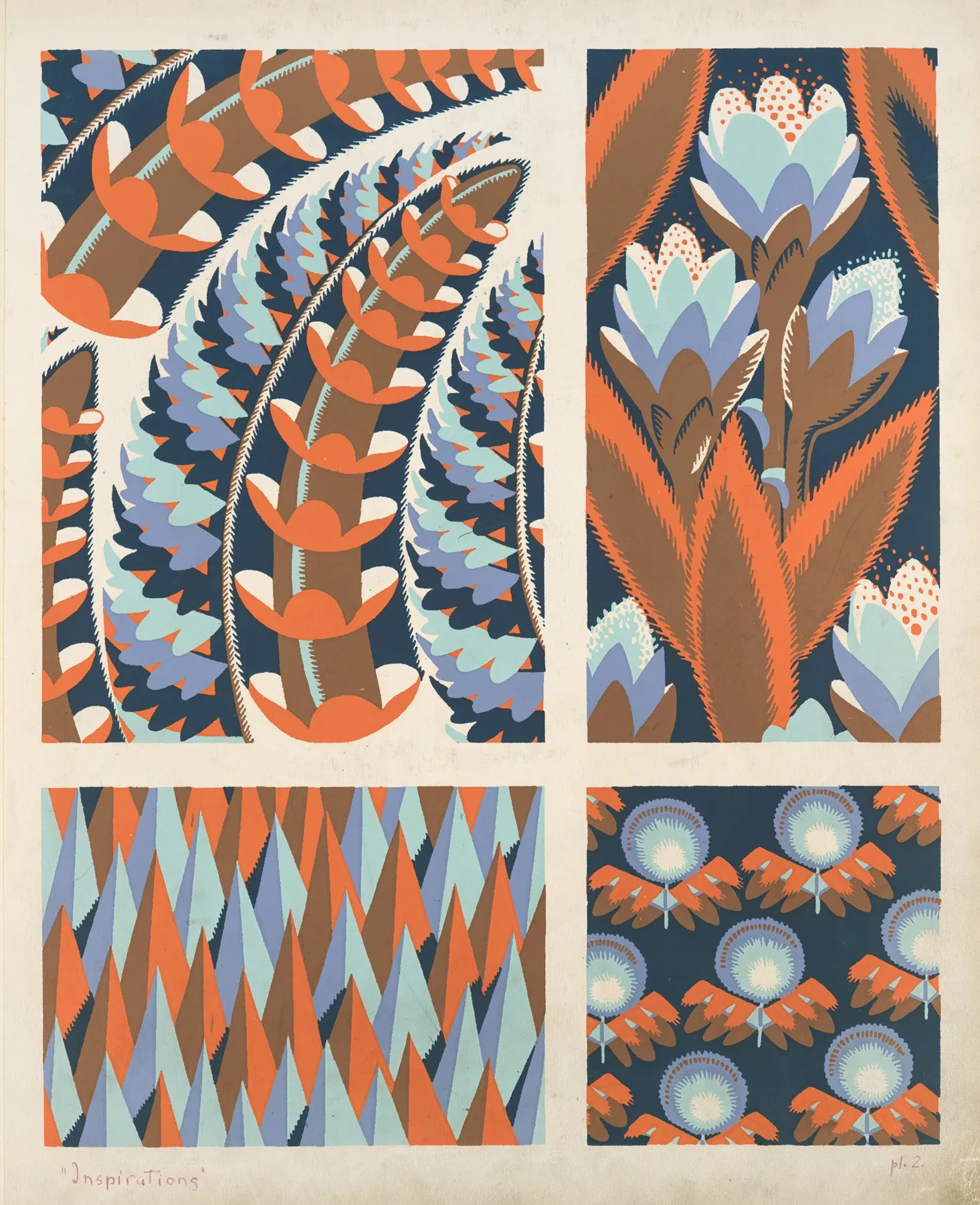 Four Plant Form Compositions 2 Wall Art by André Durenceau - High-Resolution Digital Print