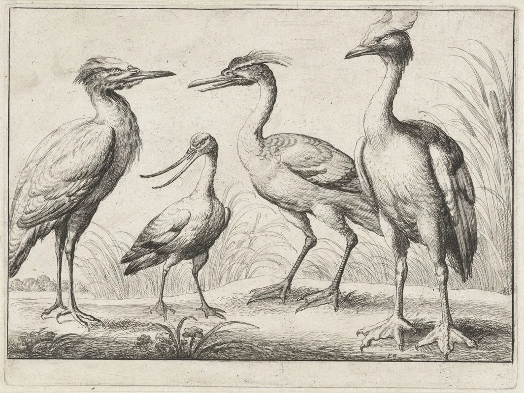 Four Wading Birds Standing On A River Bank