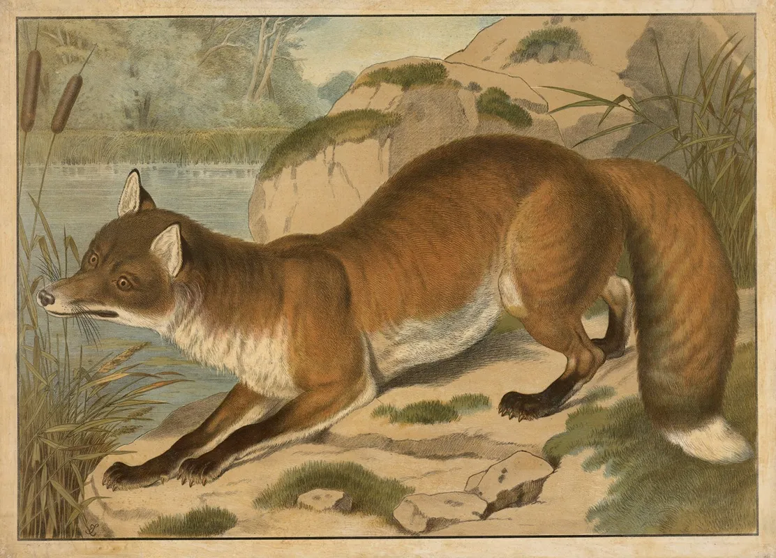 Fox 2 Wall Art by Emil Sachsse - High-Resolution Digital Print