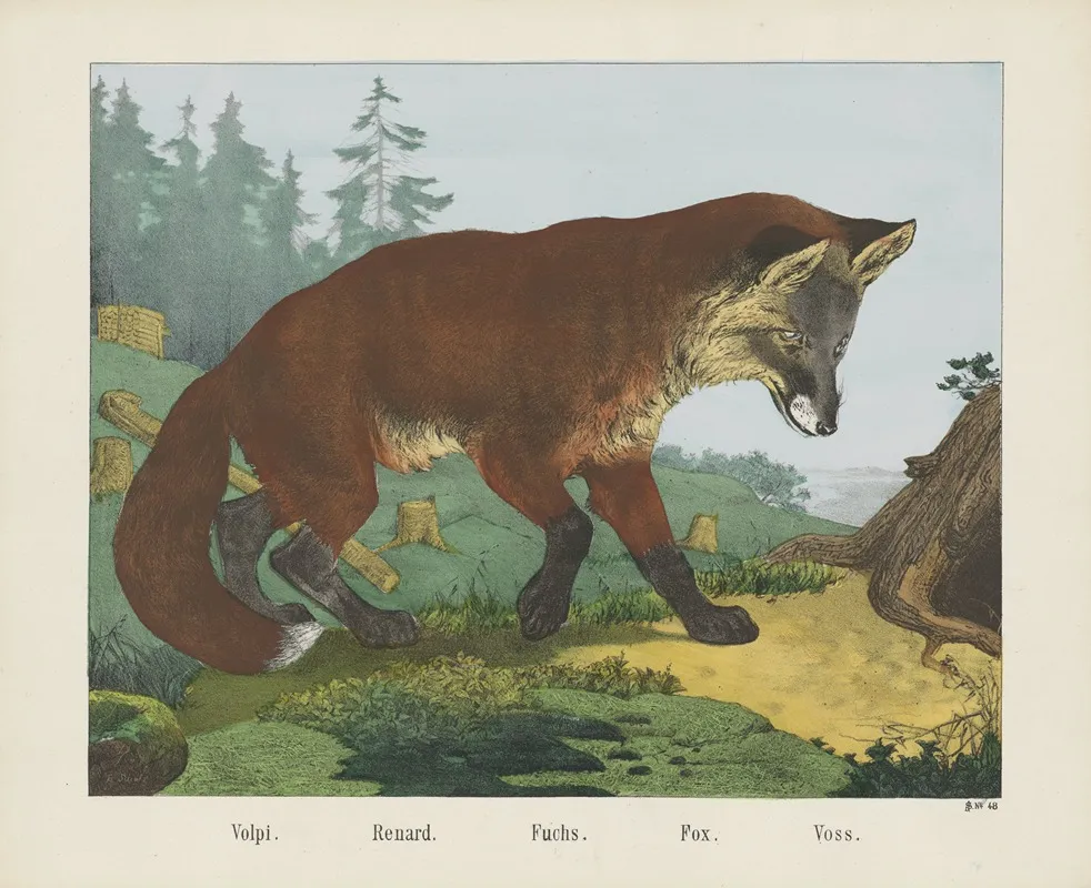 Fox 3 Wall Art by Joseph Scholz - High-Resolution Digital Print