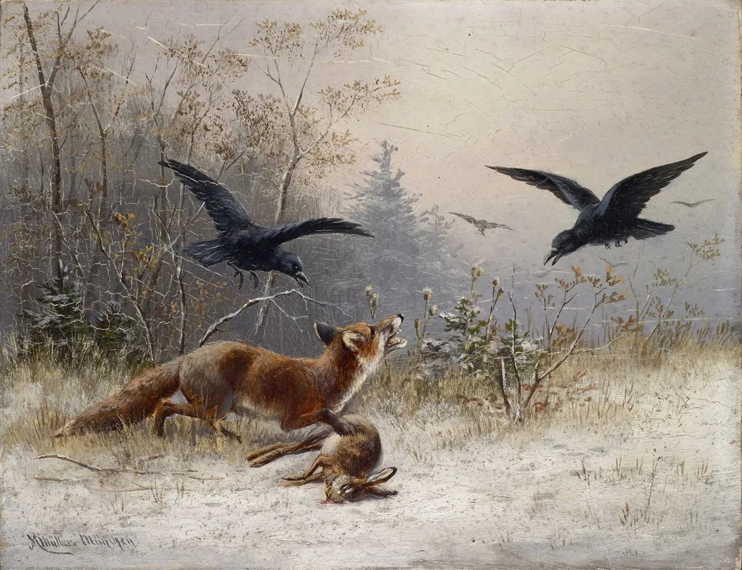 Fox Chasing Rabbits In Winter