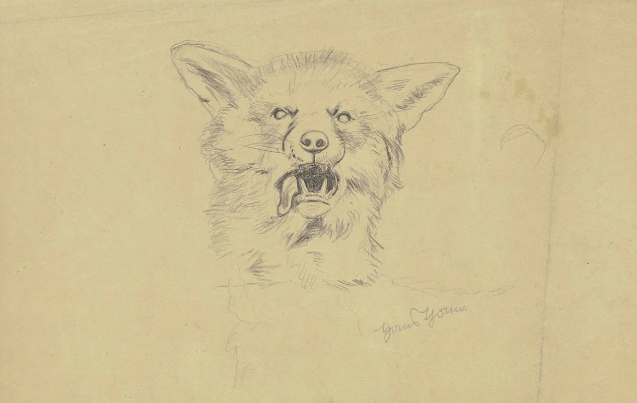 Fox Head