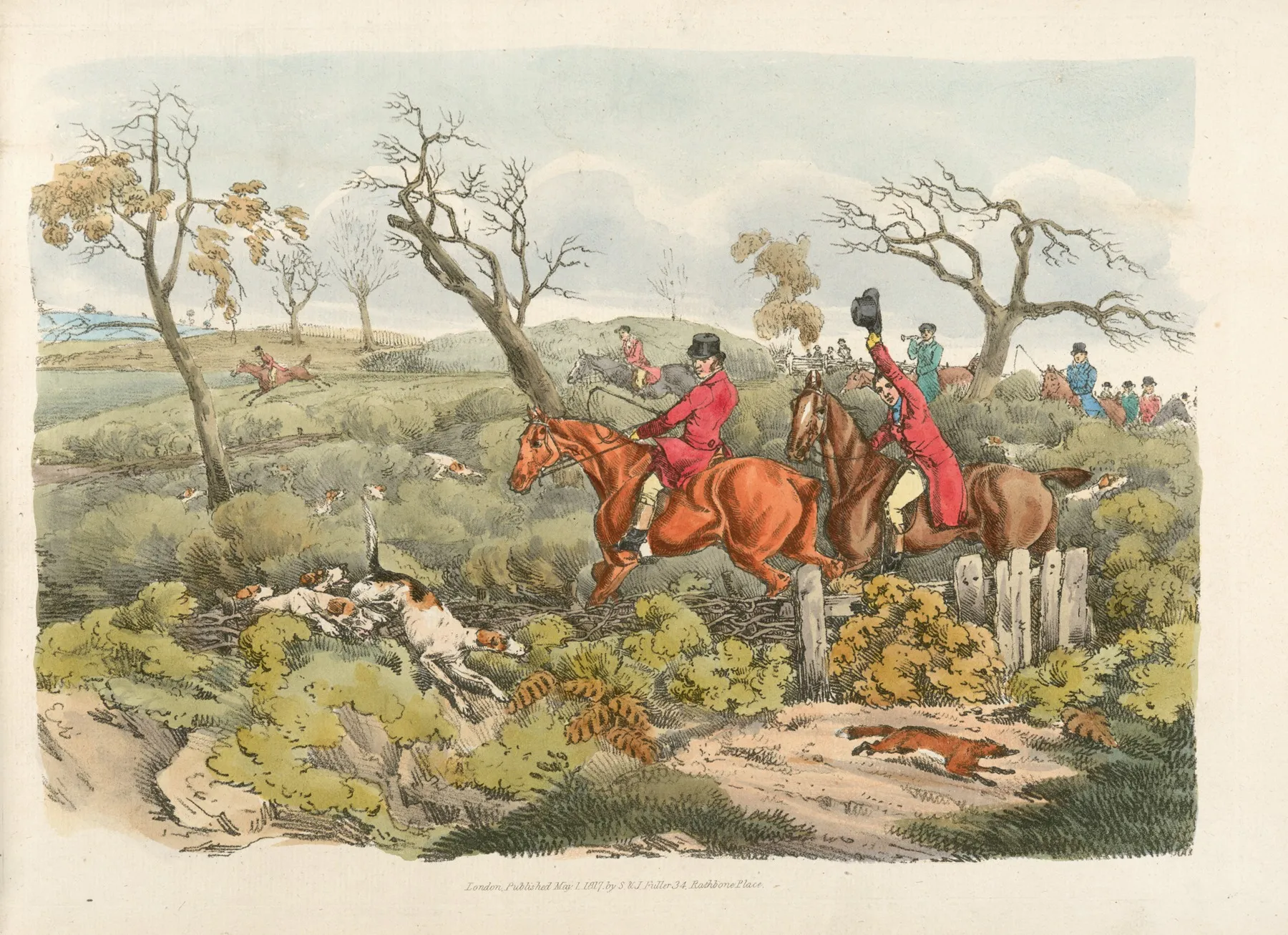 Fox Hunting