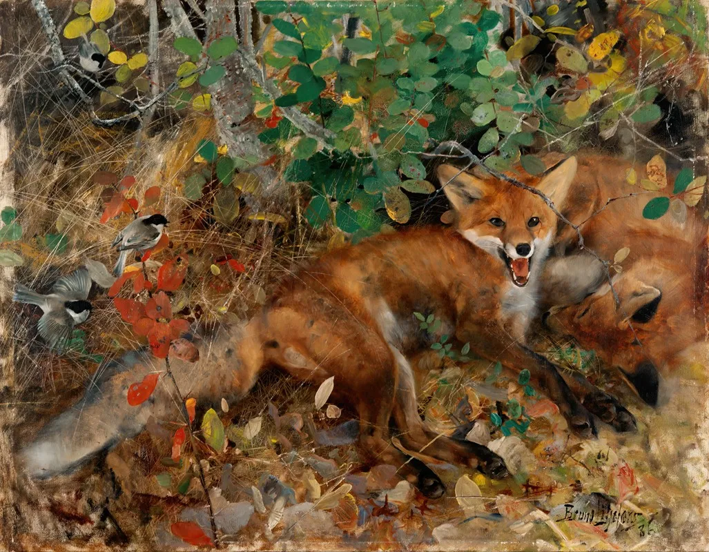 Foxes
