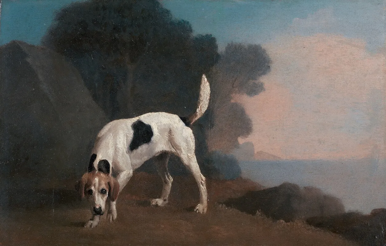 Foxhound On The Scent