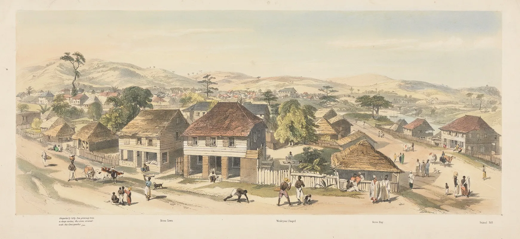 Freetown Sierra Leone 3 Wall Art by Auguste François Laby - High-Resolution Digital Print