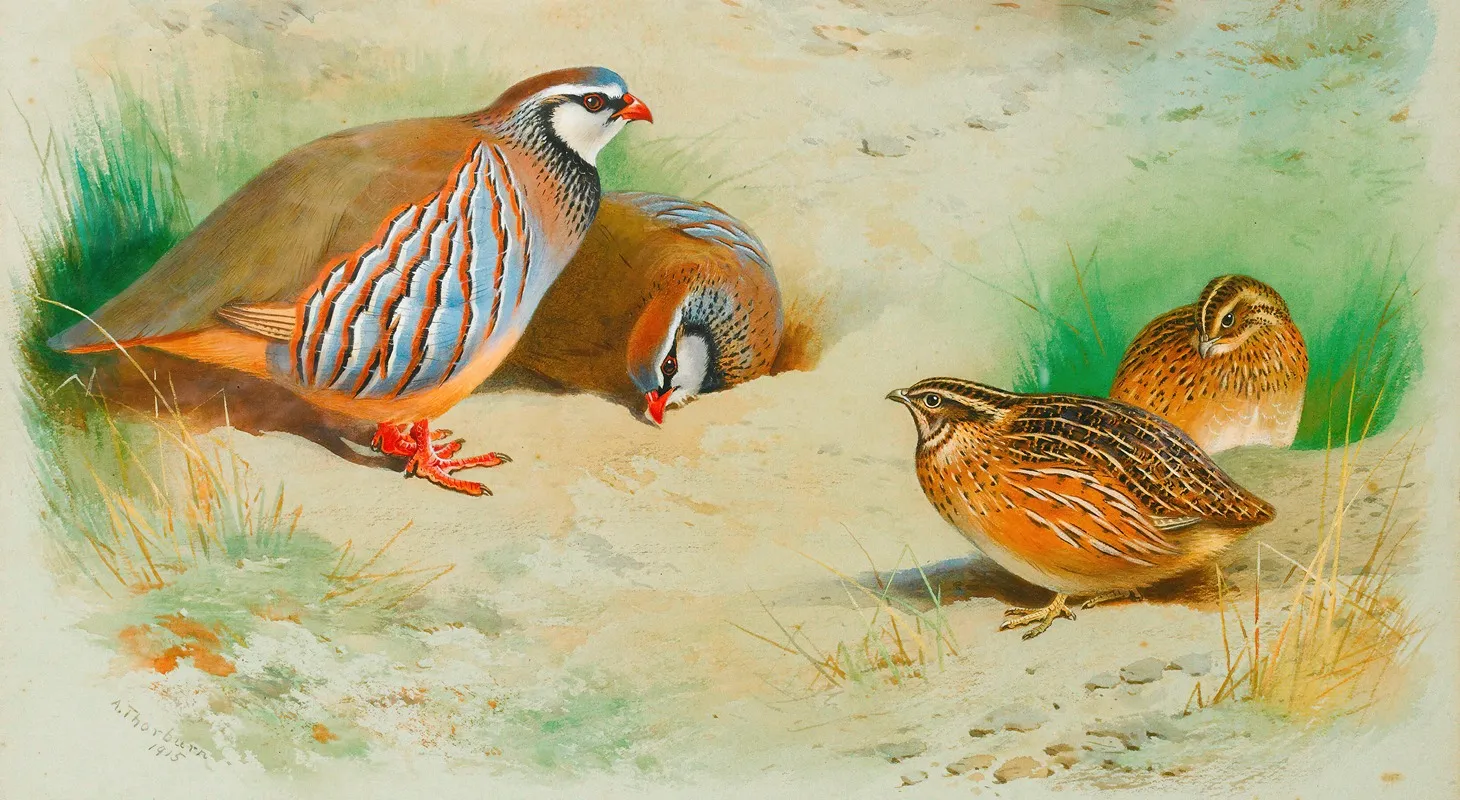 French Partridge And Chicks Wall Art by Archibald Thorburn - High-Resolution Digital Print