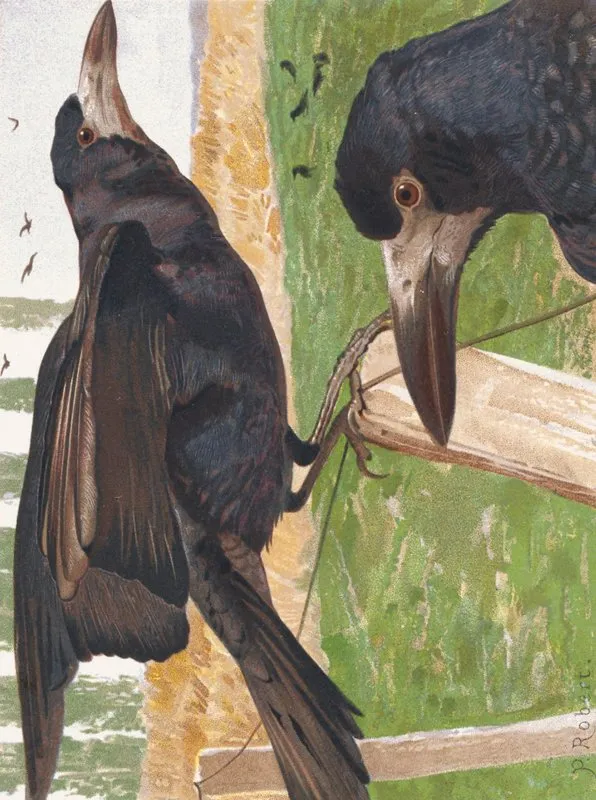 Freux Corbeau Wall Art by Léo-Paul Robert - High-Resolution Digital Print