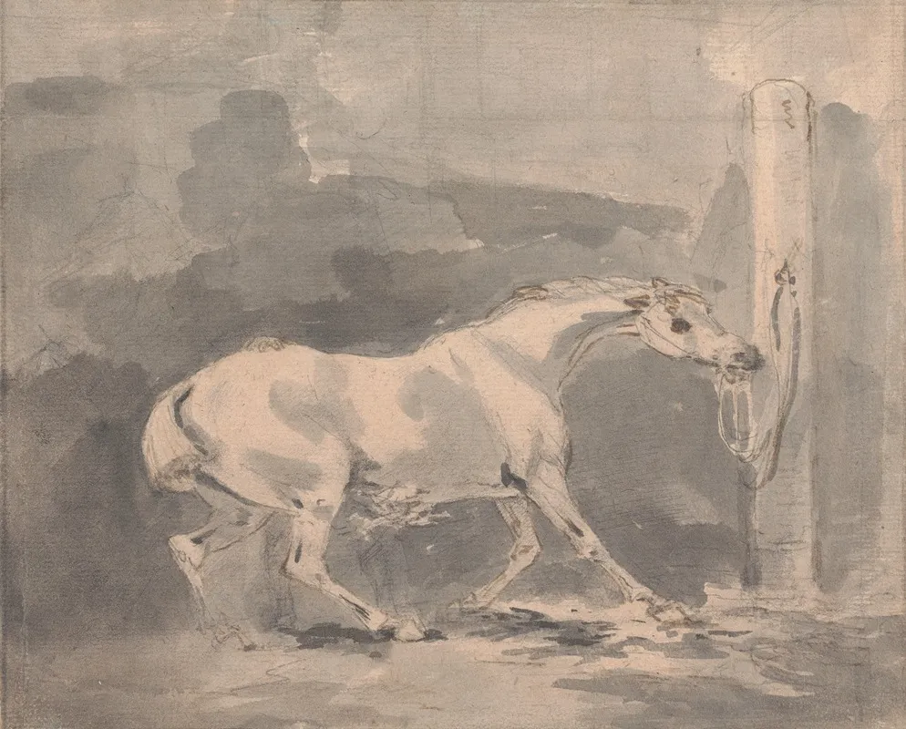 Frightened Horse Tied To A Post
