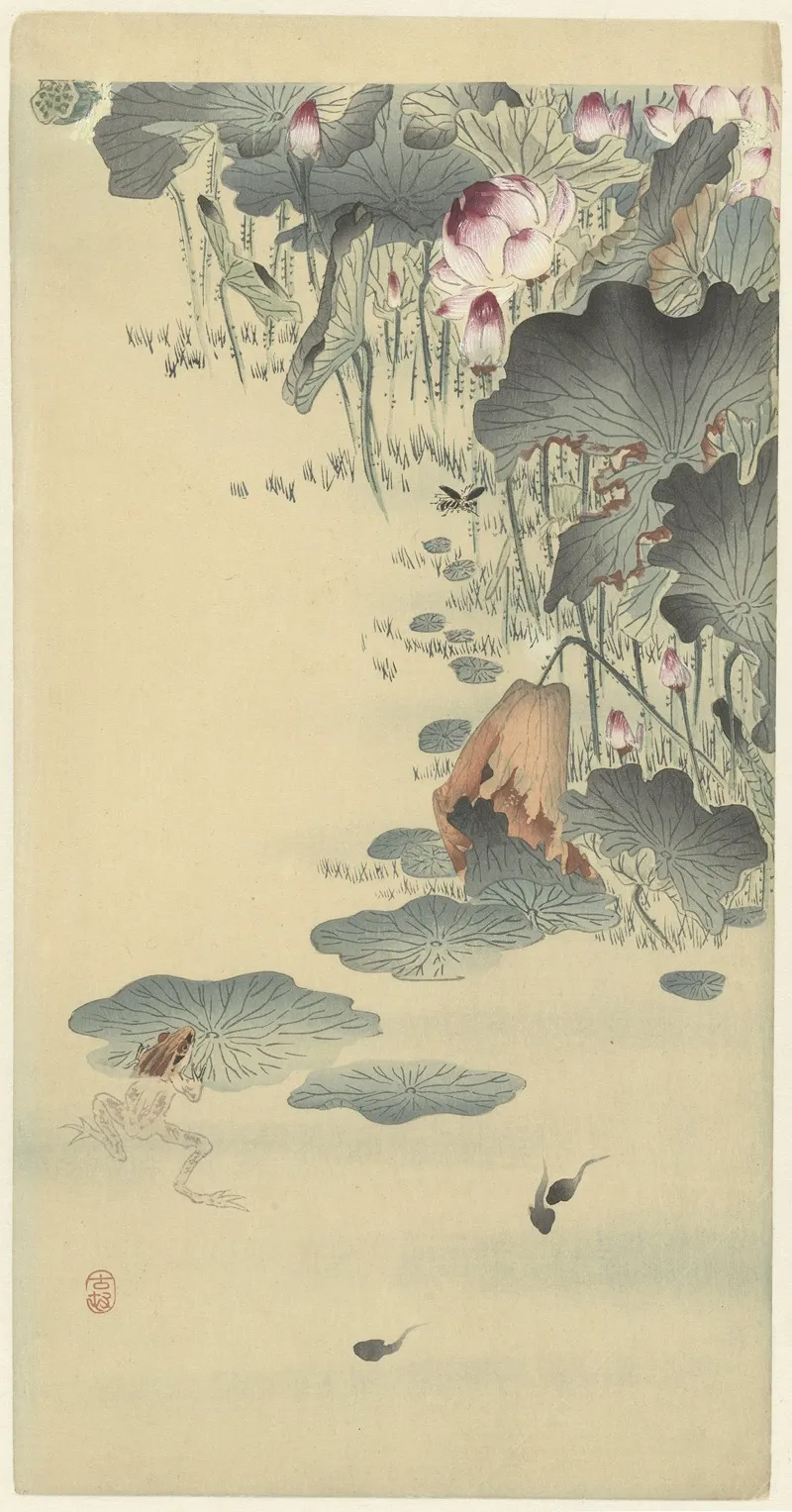 Frog And Tadpoles Wall Art by Ohara Koson - High-Resolution Digital Print