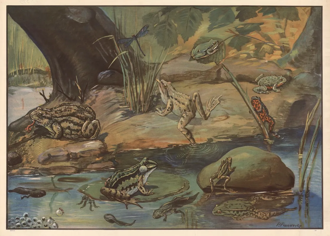 Frogs 2 Wall Art by Paul Flanderky - High-Resolution Digital Print