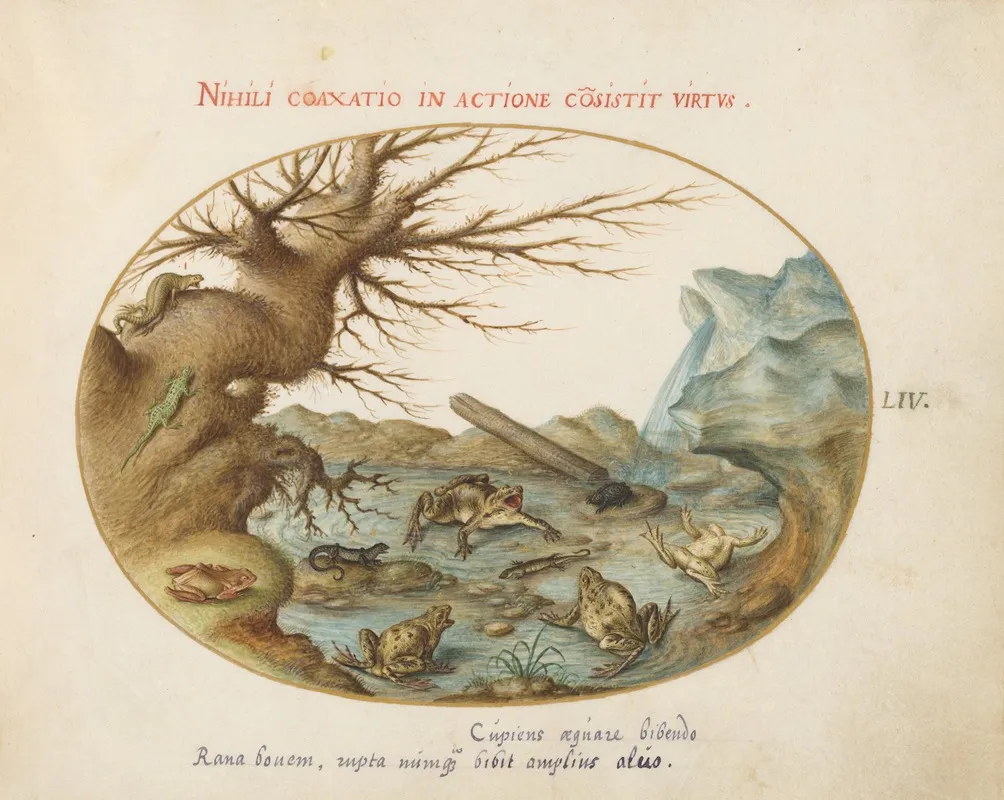 Frogs Lizards And Salamanders In A Landscape