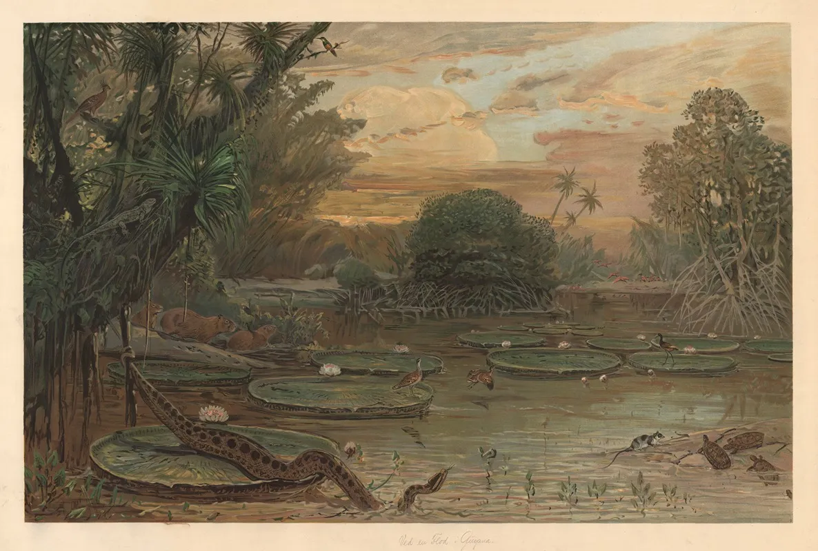 From Guyana