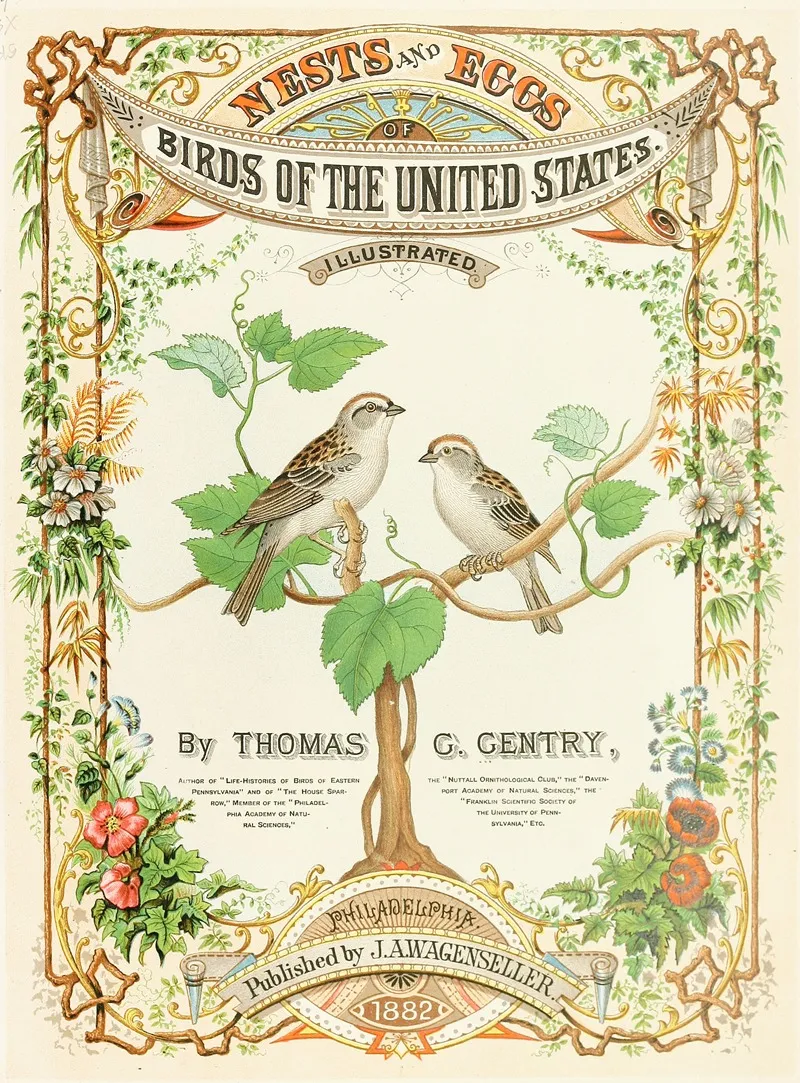 Frontispiece 5 Wall Art by Edwin L. Sheppard - High-Resolution Digital Print