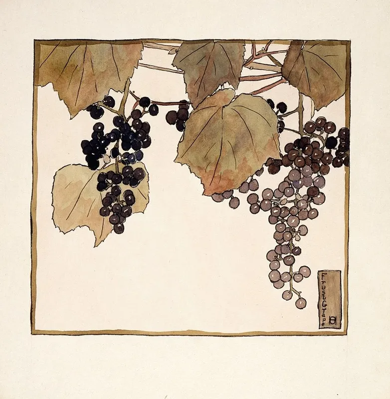 Frost Grape