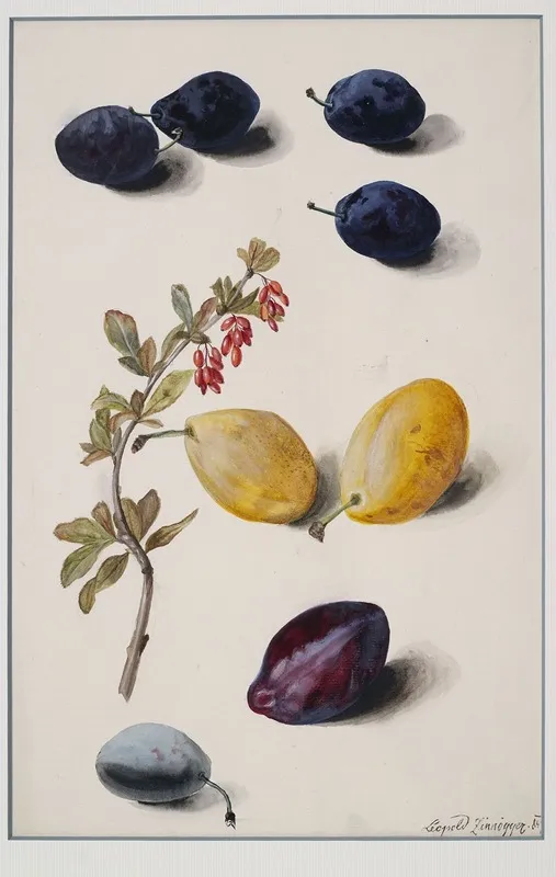 Fruits 2 Wall Art by Leopold Zinnögger - High-Resolution Digital Print