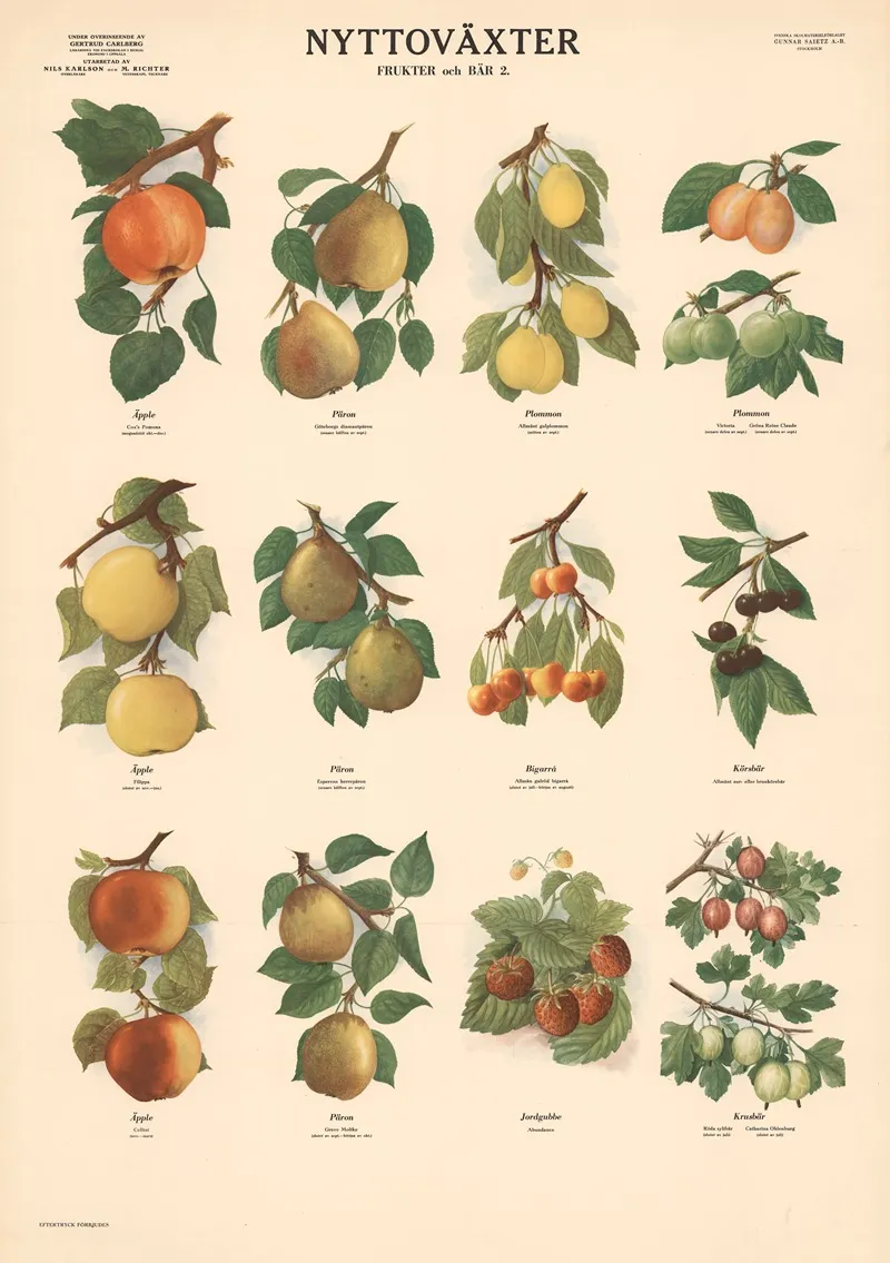 Fruits And Berries 2 Wall Art by Max Richter - High-Resolution Digital Print