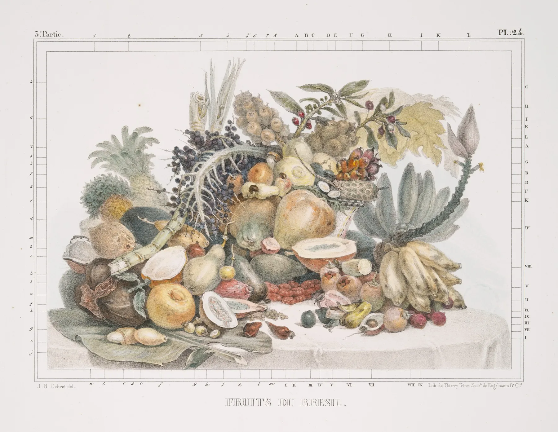 Fruits De Bresil