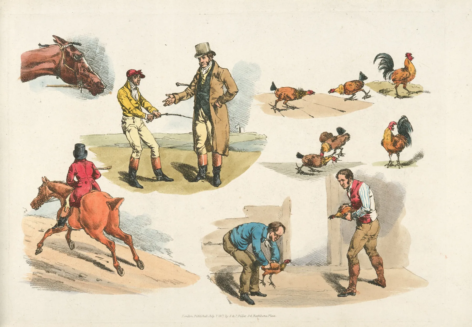 Gamecocks