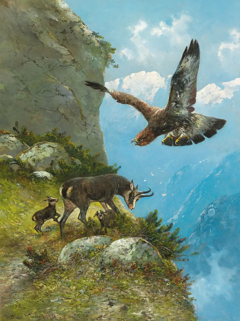 Gams Und Steinadler