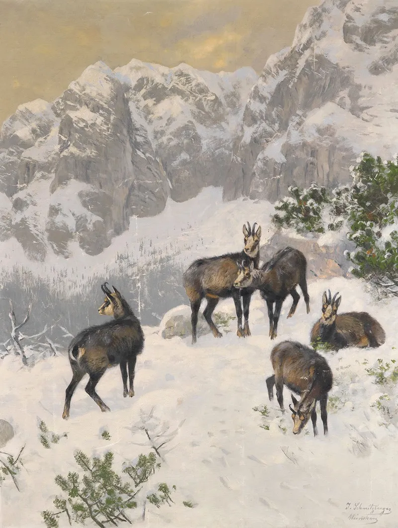 Gamse Im Winter Wall Art by Josef Schmitzberger - High-Resolution Digital Print