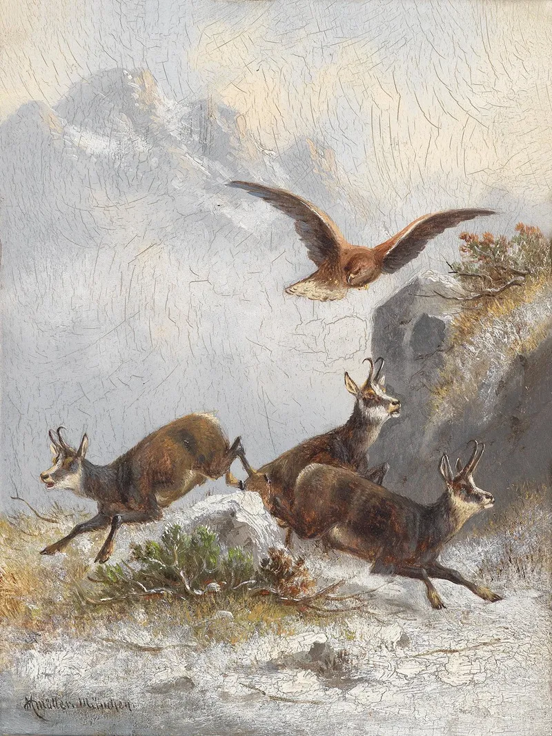 Gamsen Von Adler Verfolgt