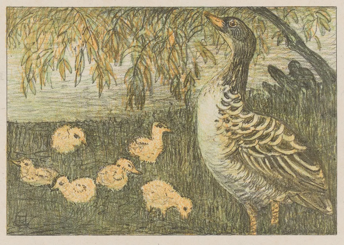 Gans Met Kuikens