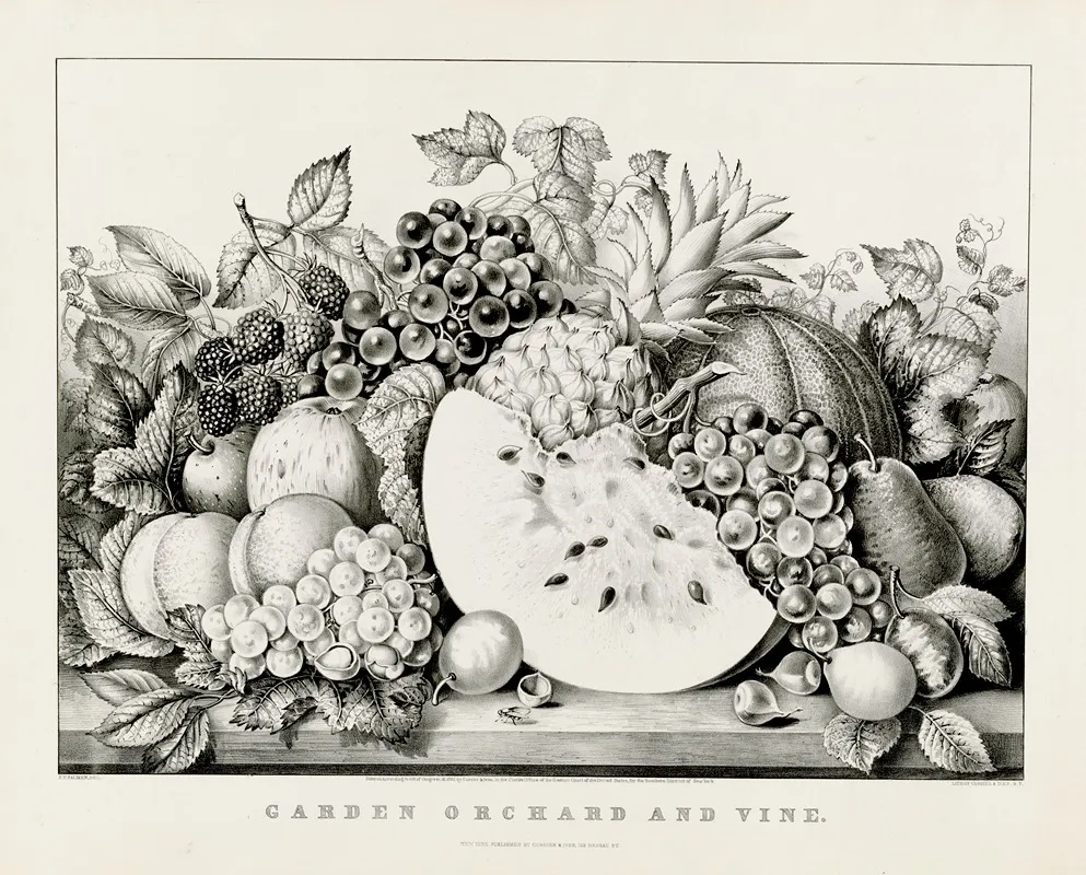 Garden Orchard And Vine