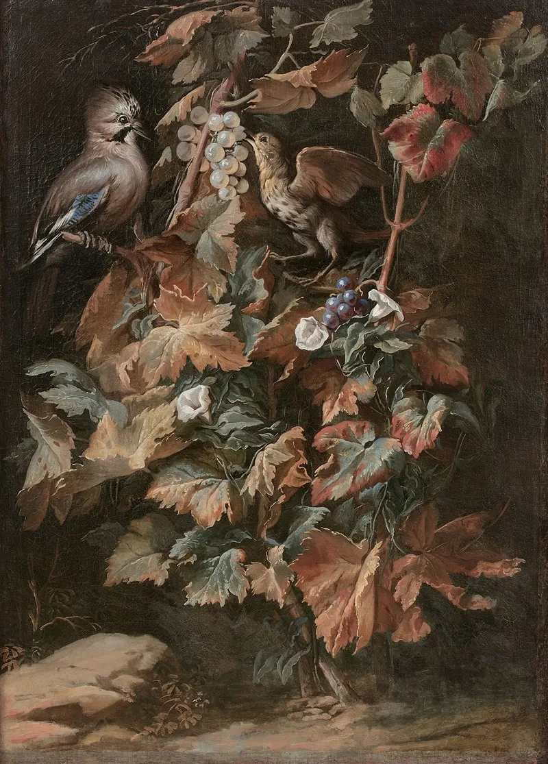 Geai Et Etourneau Sur Un Pied De Vigne Entoure De Liseron Wall Art by Nicola van Houbraken - High-Resolution Digital Print