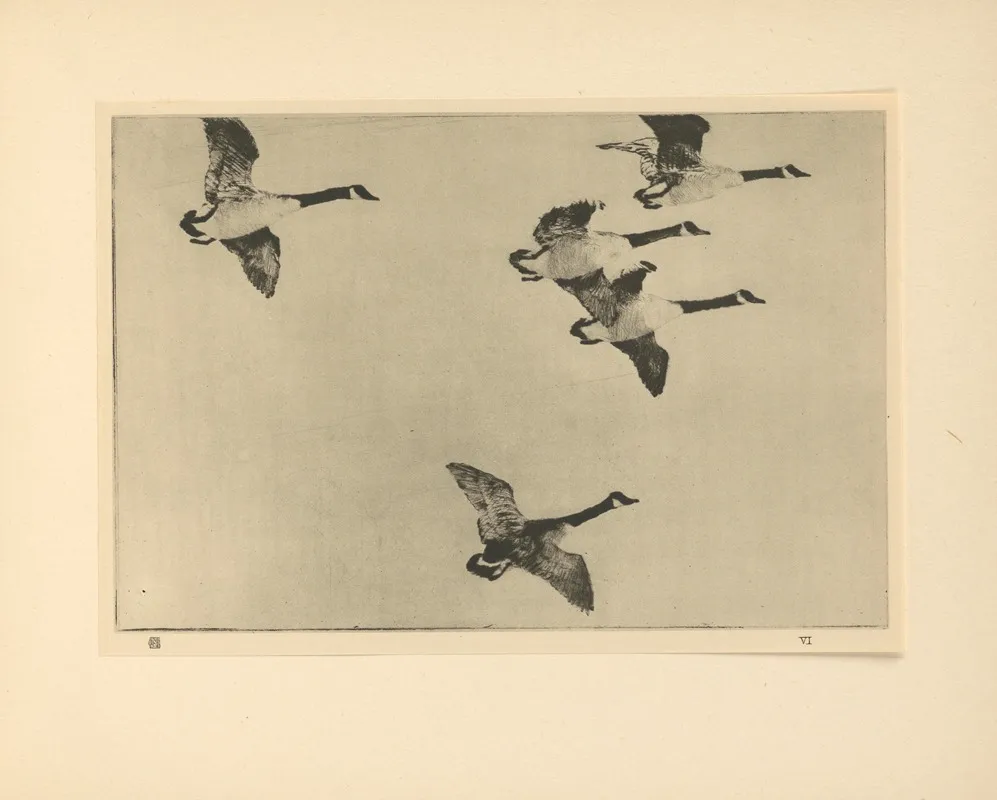 Geese 3 Wall Art by Frank Weston Benson   - High-Resolution Digital Print